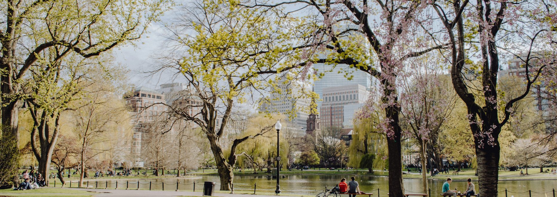 people walking on park during daytime