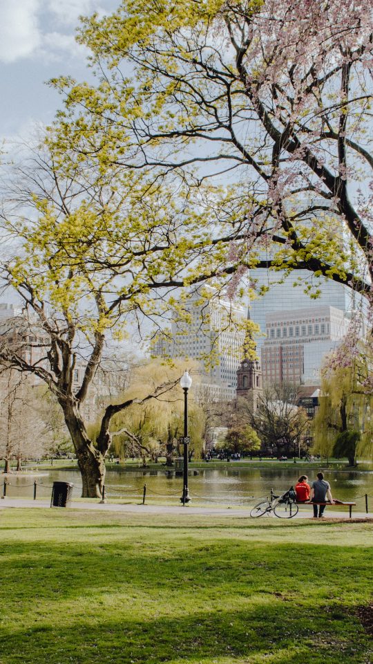 people walking on park during daytime